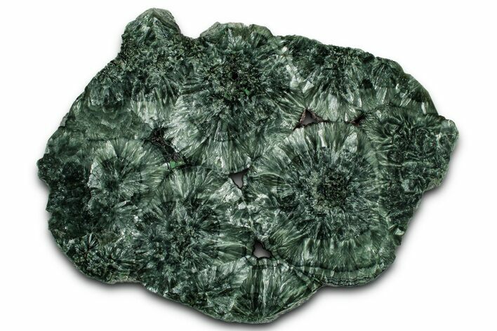 Polished Seraphinite Slab - Korshunovkiy Mine, Siberia #352664